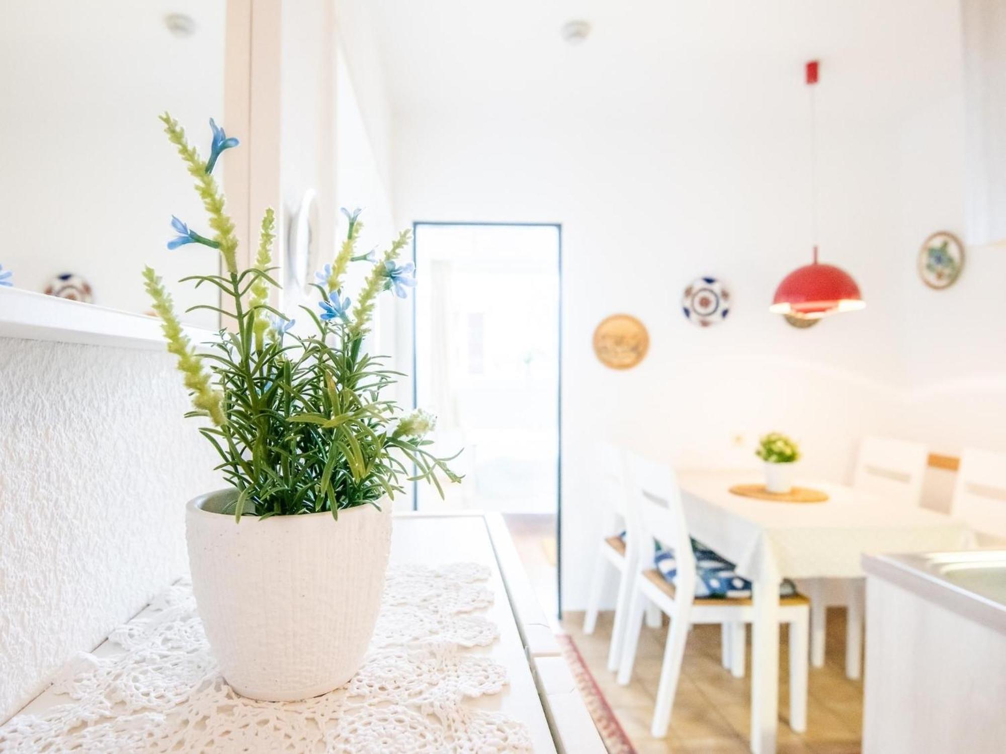 Haus Meeresblick Wohnung 24 Kellenhusen Exteriör bild